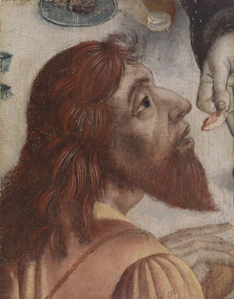 Detail of Head, 1450 by Austrian School
