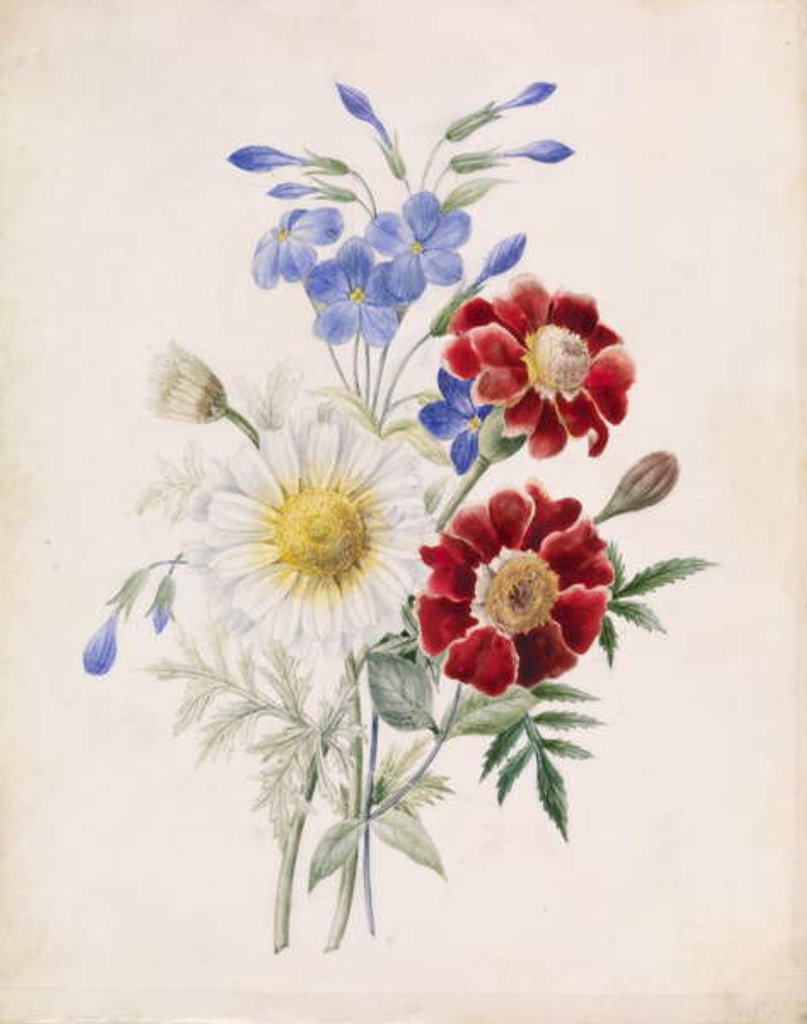 Detail of Flowers and White Daisy, c.1840 by French School