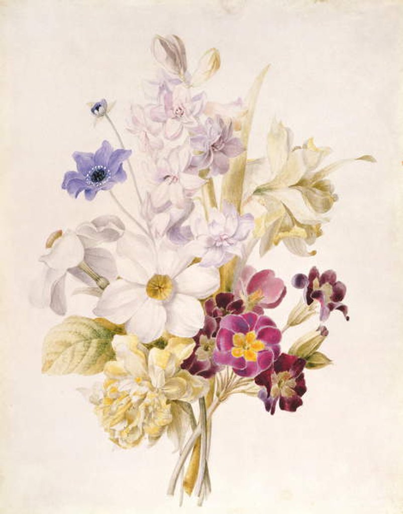 Detail of Narcissus and other Flowers, 1840 by French School