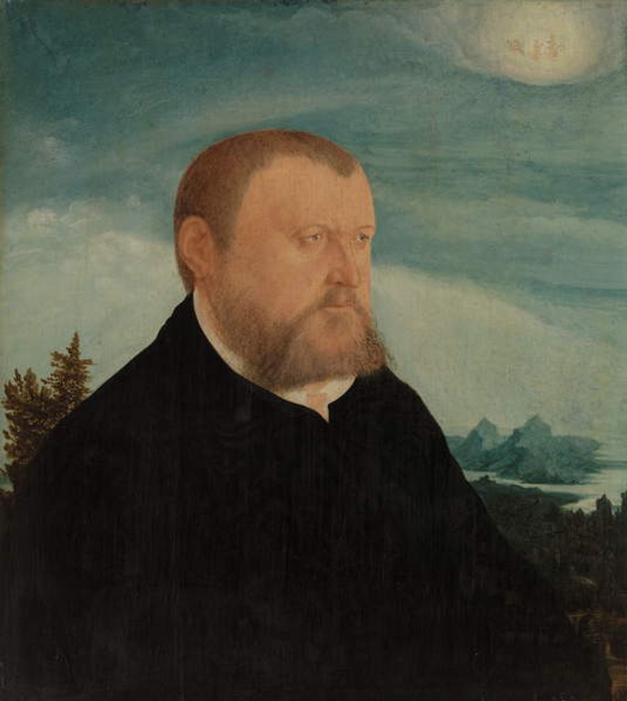 Detail of Portrait of a Man by Wolf Huber