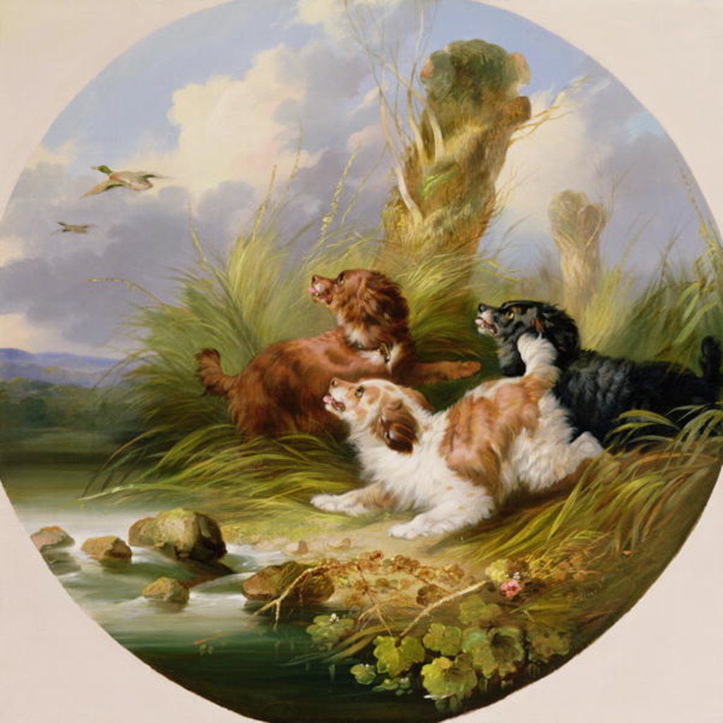 Detail of Three Spaniels Flushing Mallard by George Armfield