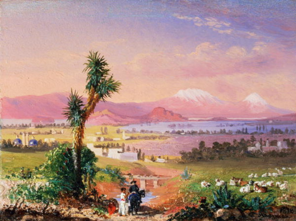 Detail of A View of Mexico City, 1878 by Conrad Wise Chapman