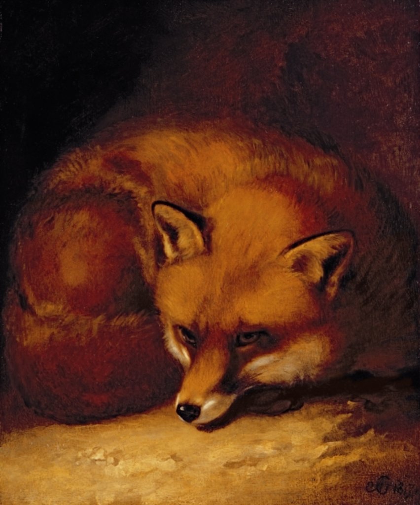 Detail of A Fox, 1817 by Abraham Cooper