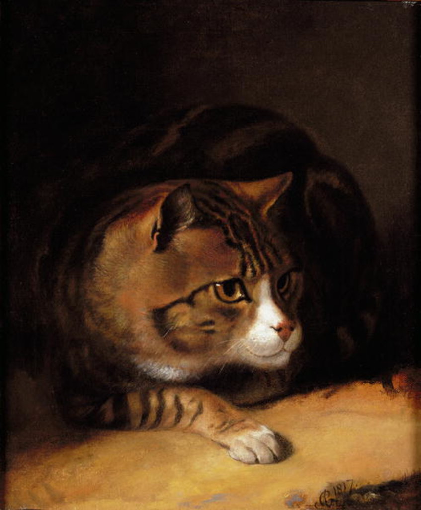 Detail of A Tabby Cat, 1817 by Abraham Cooper