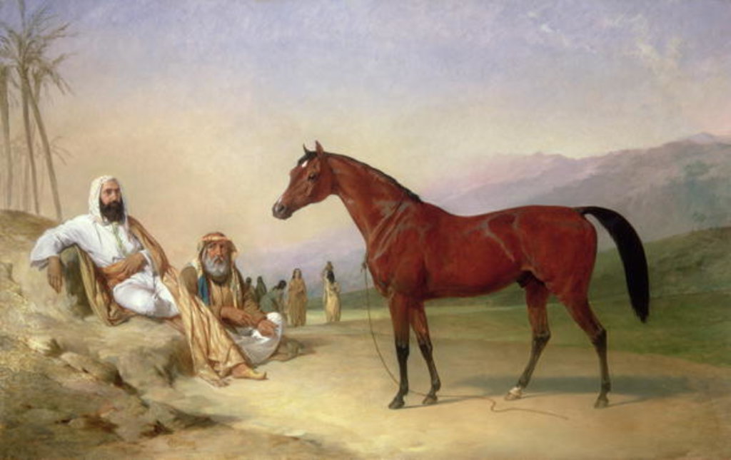 Detail of Two Bedouin with a Bay Arab Stallion in the Desert, 1860 by Abraham Cooper
