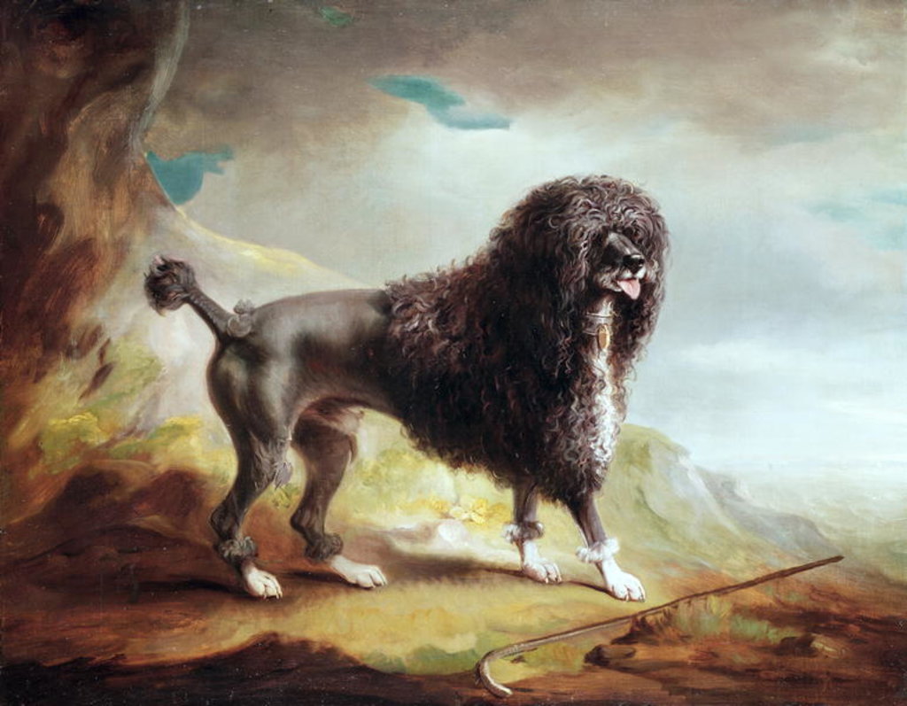 Detail of A Clipped Water Spaniel by John E. Ferneley