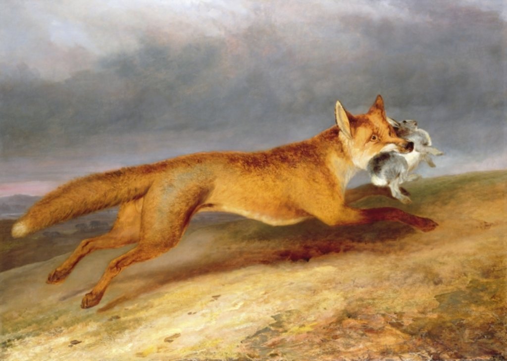 Detail of Fox making off with a Rabbit, 1841 by Charles Hancock
