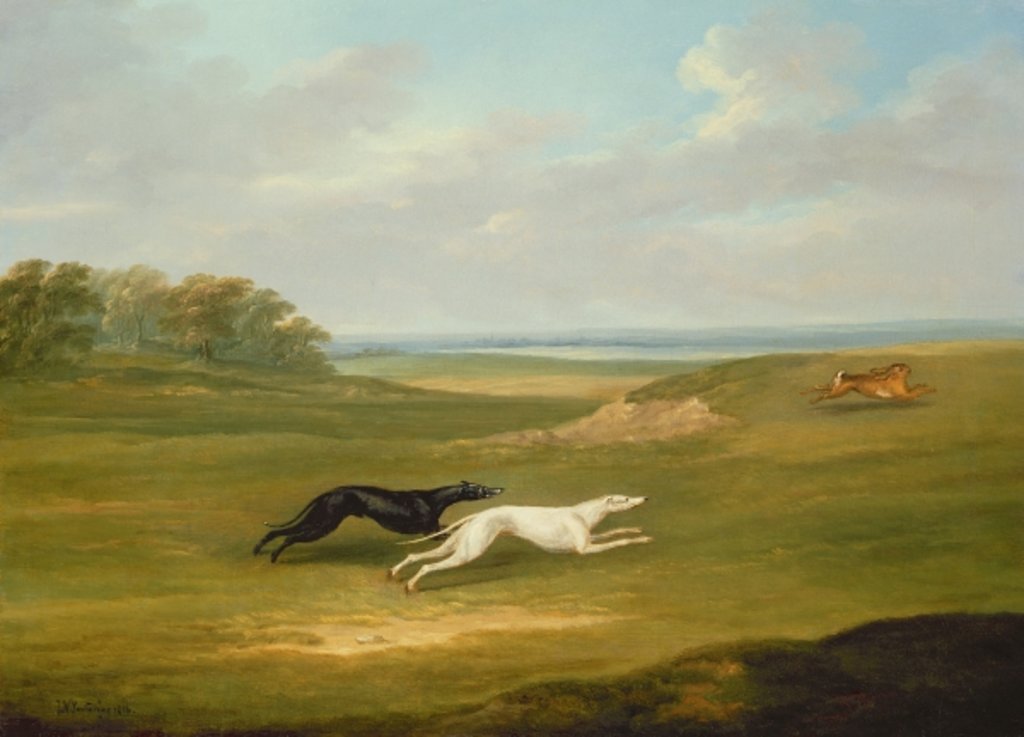 Detail of Running, a Coursing Scene, 1816 by John Nost Sartorius