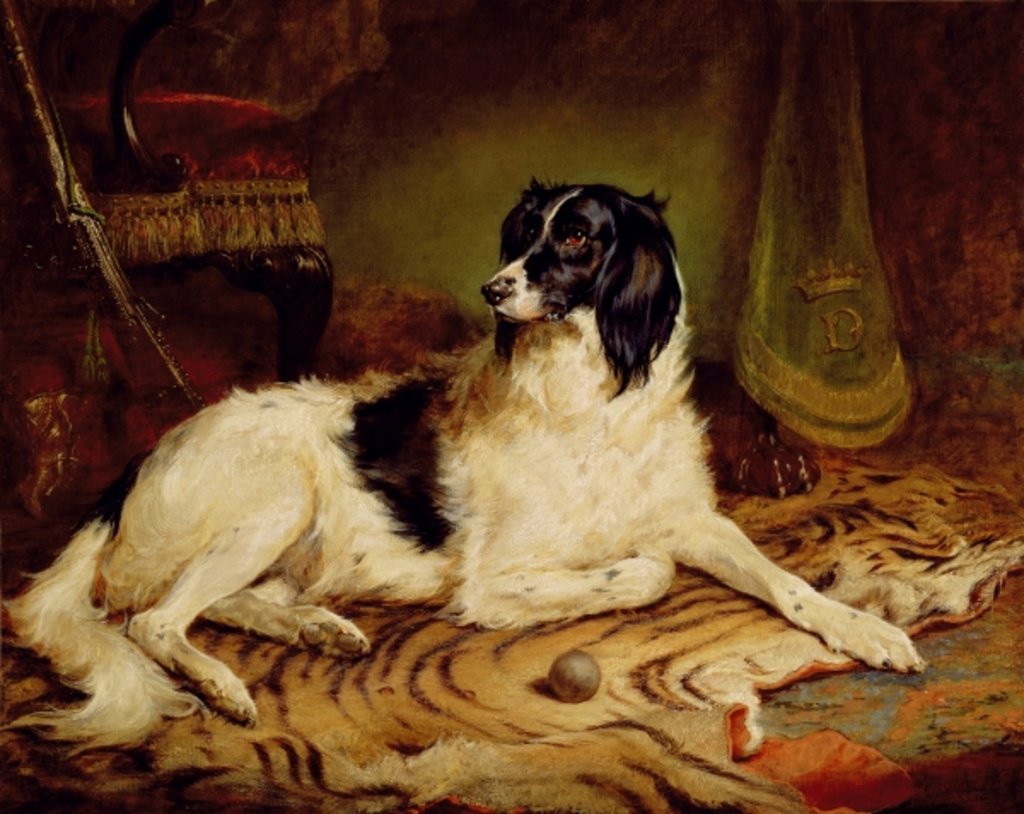 Detail of Minna, a favourite dog of James, Marquess of Dalhousie, 1857 by Gourlay Steel