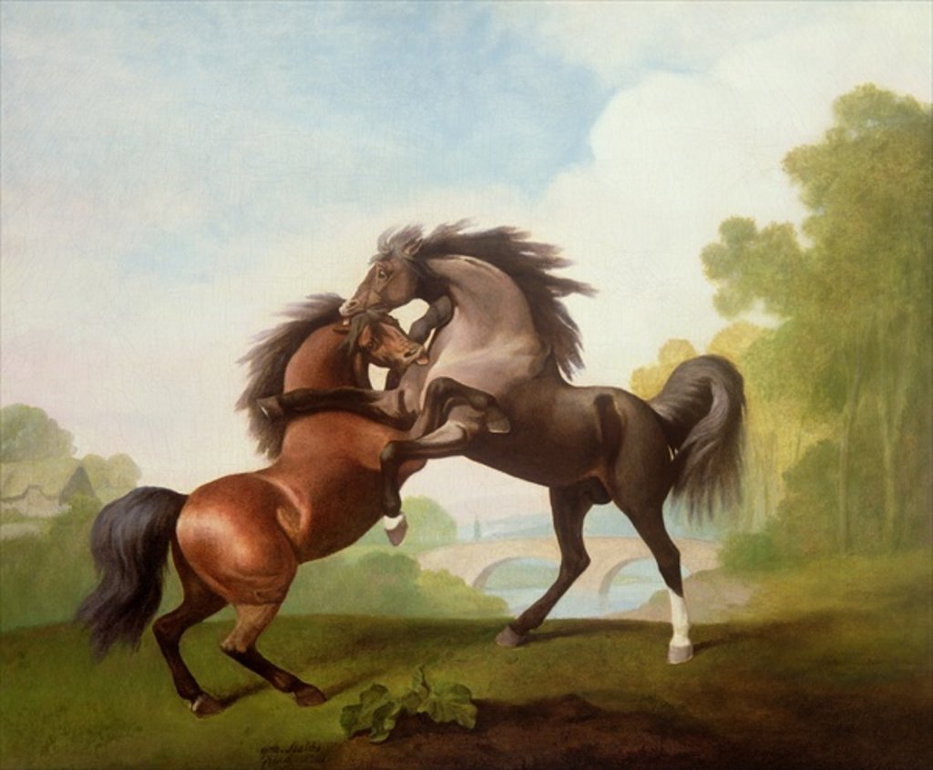 Detail of Horses Fighting, 1791 by George Stubbs