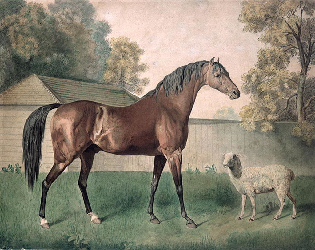 Detail of Dungannon by George Townley Stubbs