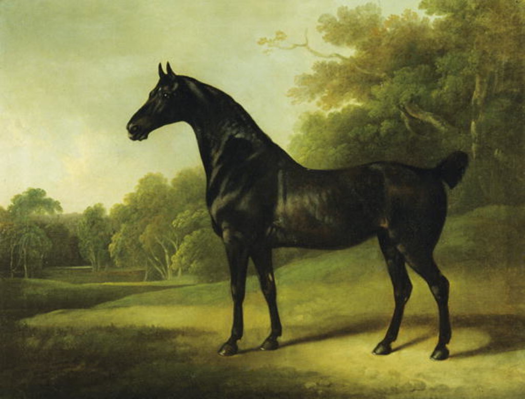 Detail of A Bay Horse in a Wooded Landscape, 1814 by Charles Henry Schwanfelder