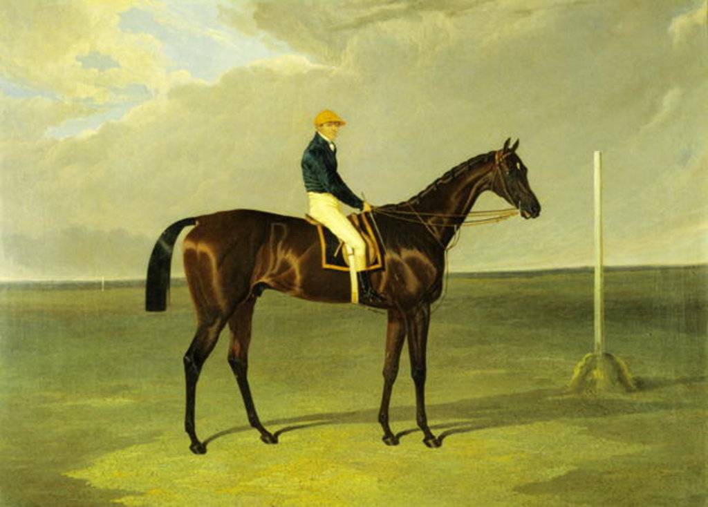 Detail of Sluggard with Flatman Up, 1832 by John Frederick Herring Snr