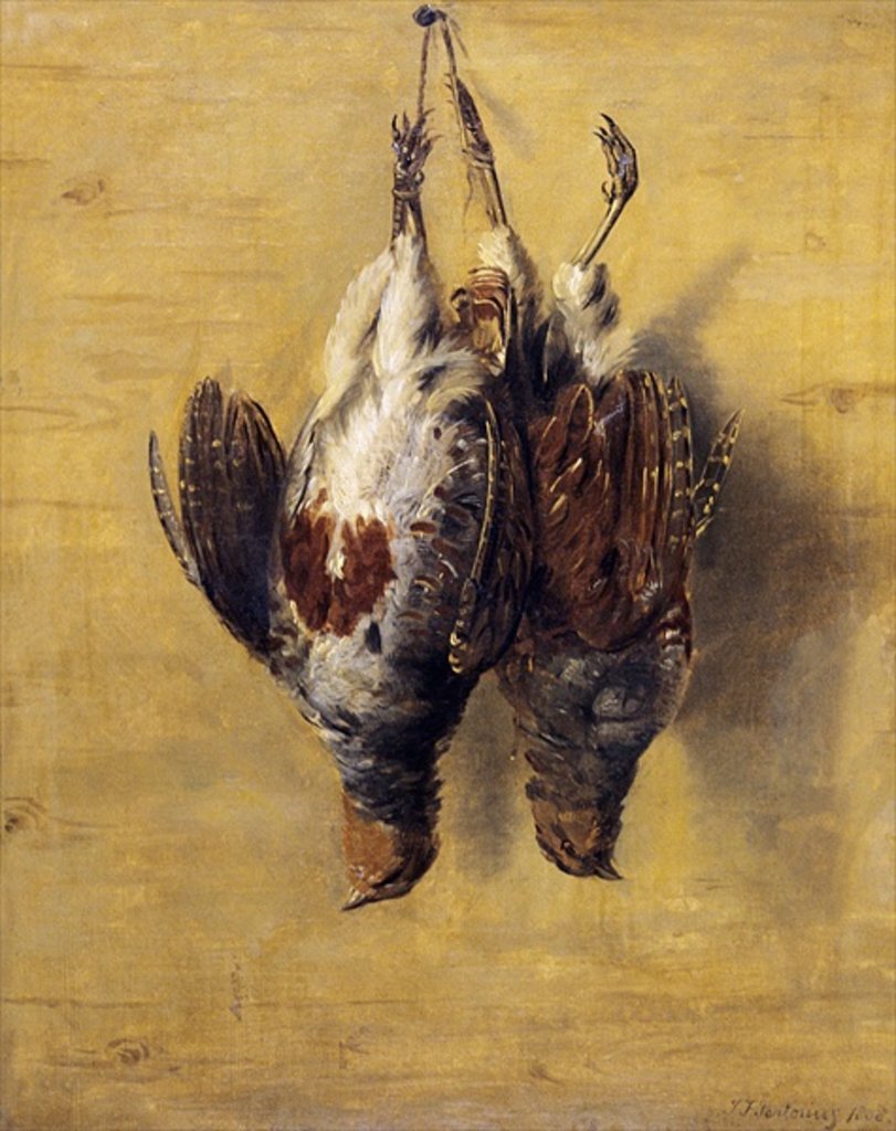 Detail of Brace of English Partridge, 1808 by J. Francis Sartorius