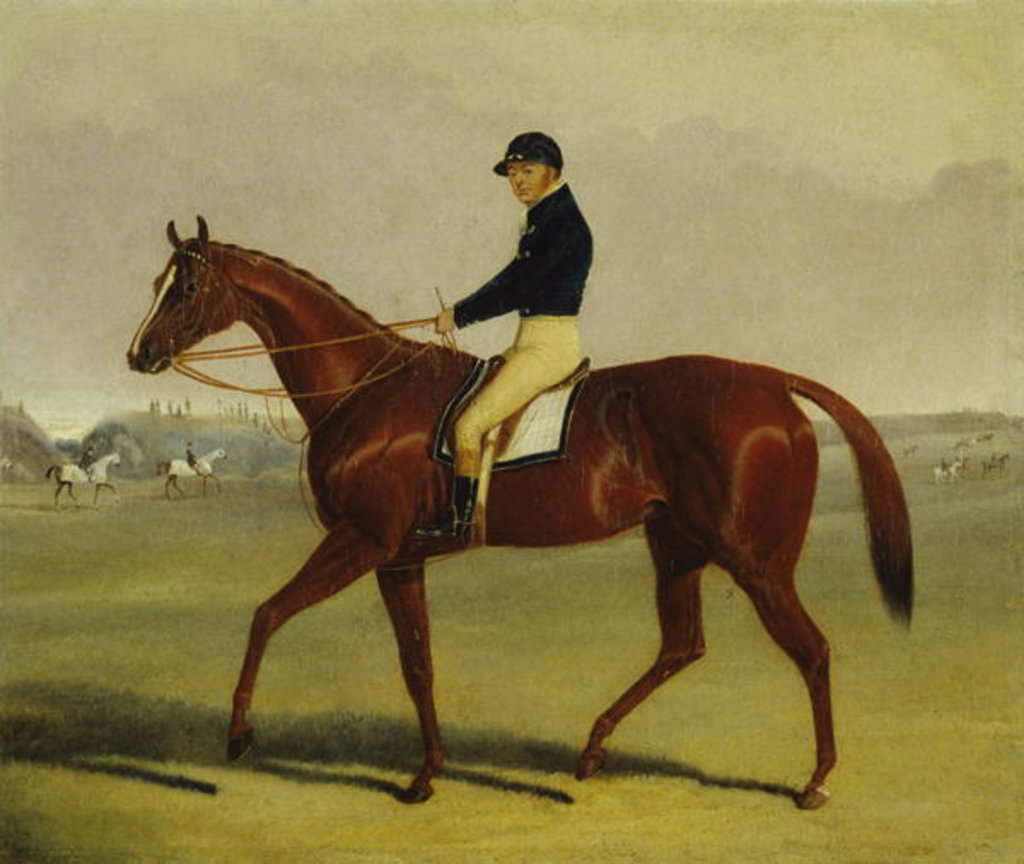 Detail of Preserve with Flatman Up at Newmarket, 1835 by John Frederick Herring Jnr