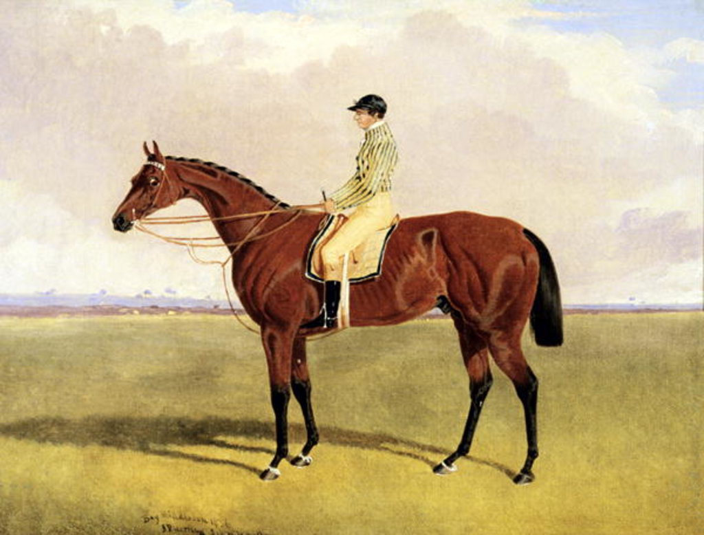 Detail of Bay Middleton with Robinson, 1836 by John Frederick Herring Jnr