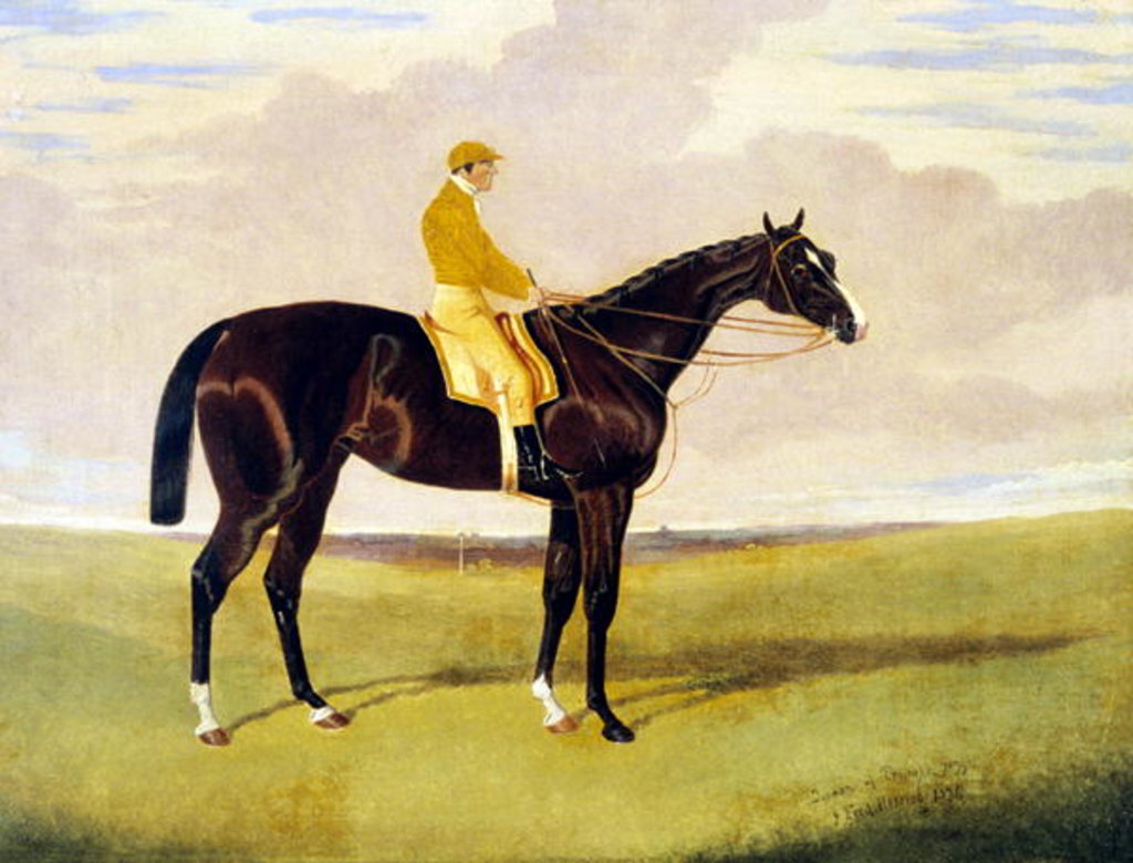 Detail of Queen of Trumps with Lye, 1836 by John Frederick Herring Jnr