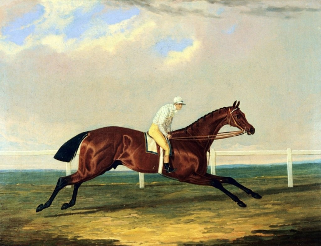 Detail of Tarrare ridden by George Nelson by John Frederick Herring Snr
