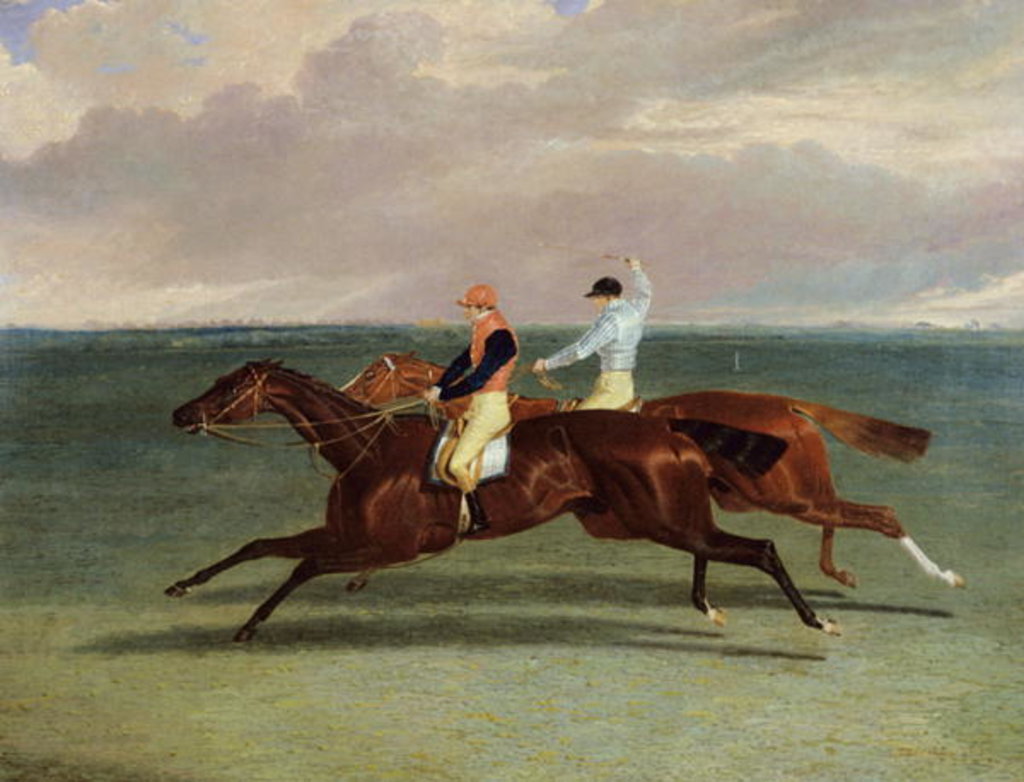 Detail of The Match between 'Priam' and 'Augustus', October 20th 1831, 1832 by John Frederick Herring Snr