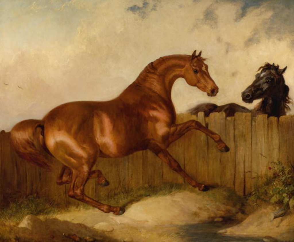 Detail of Stallion and Mare by Thomas Woodward