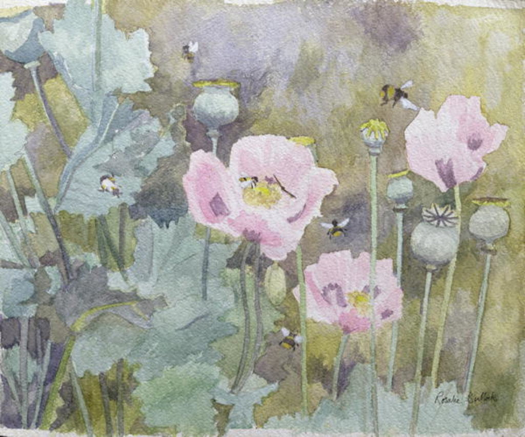 Detail of Pink poppies with bees by Rosalie Bullock