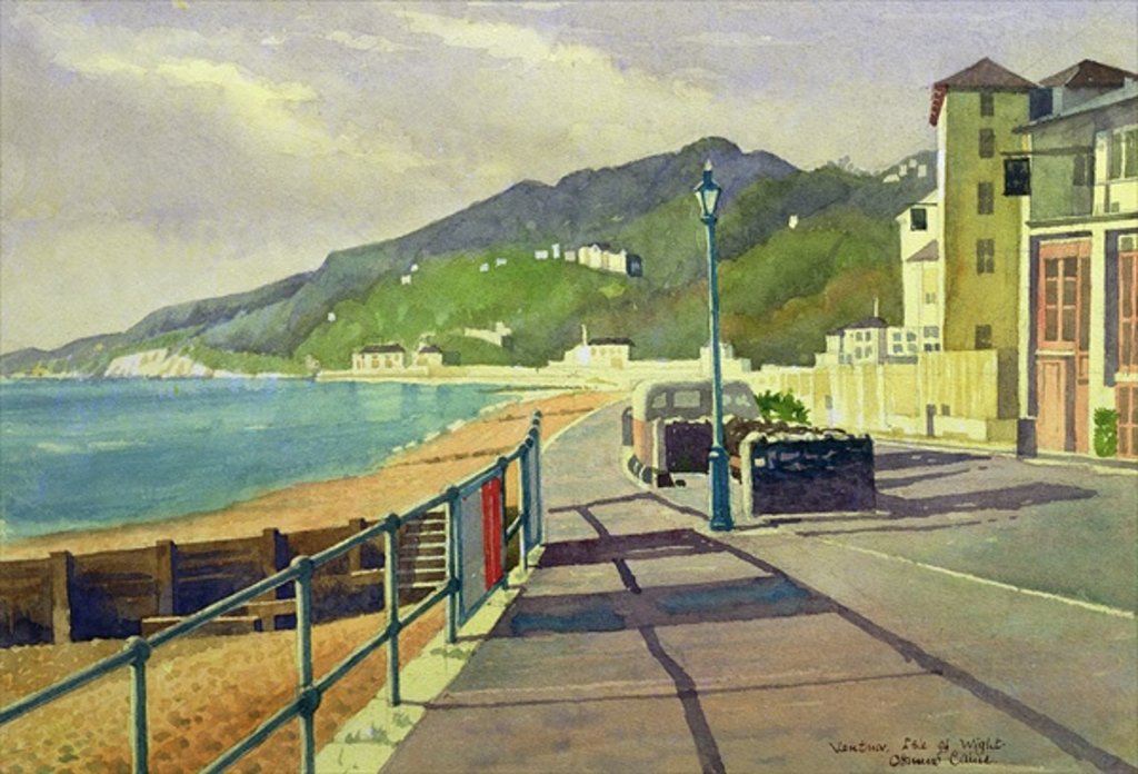 Detail of Ventnor, Isle of Wight by Osmund Caine