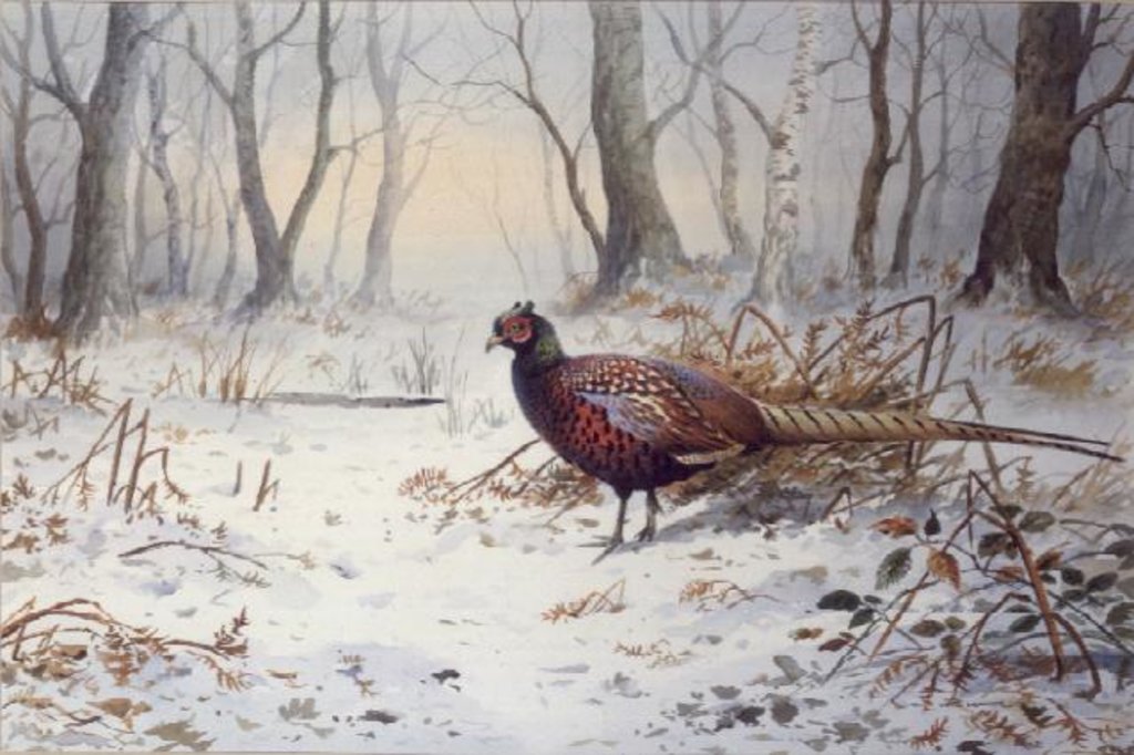 Detail of Pheasants in Snow by Carl Donner