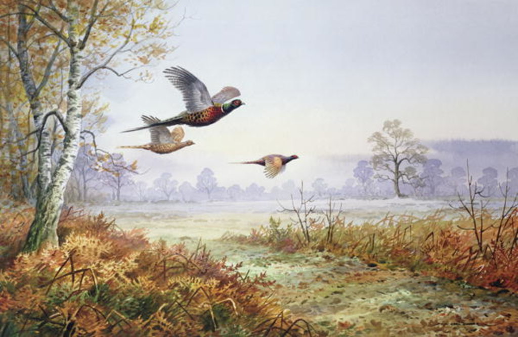 Detail of Pheasants in Flight by Carl Donner