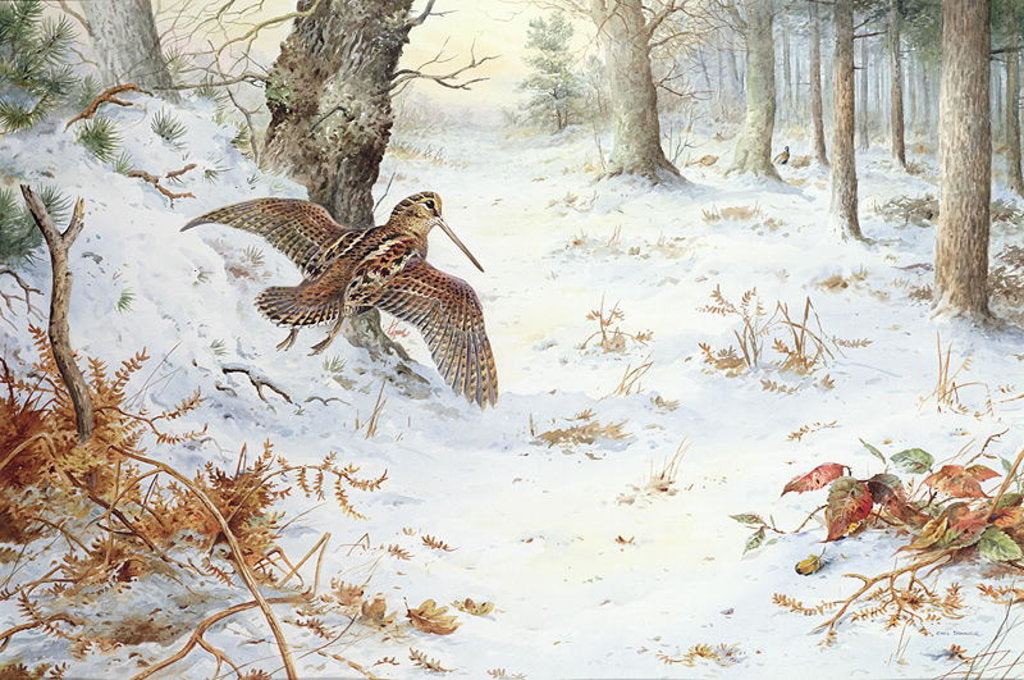 Detail of Snipe in Wooded Landscape by Carl Donner