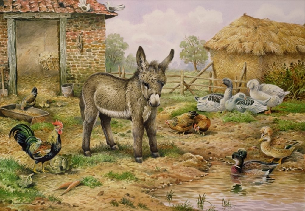 Detail of Donkey and Farmyard Fowl by Carl Donner