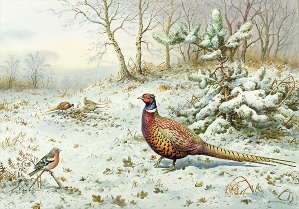 Detail of Cock Pheasant and Chaffinch by Carl Donner