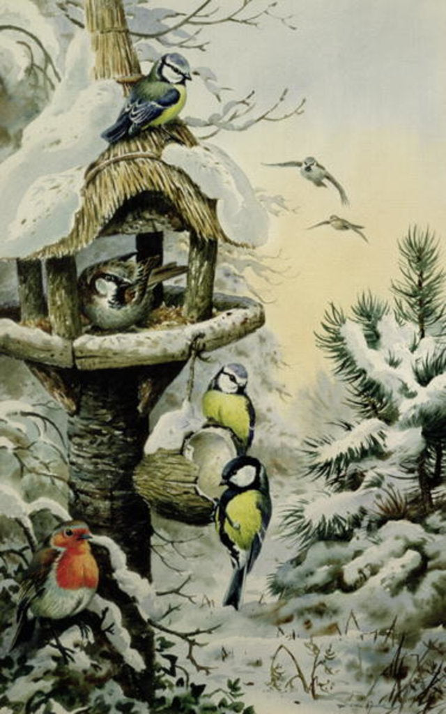Detail of Winter Bird Table with Blue Tits, Great Tits, House Sparrows and a Robin by Carl Donner