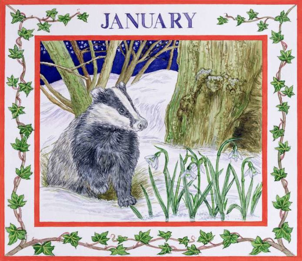 Detail of January by Catherine Bradbury