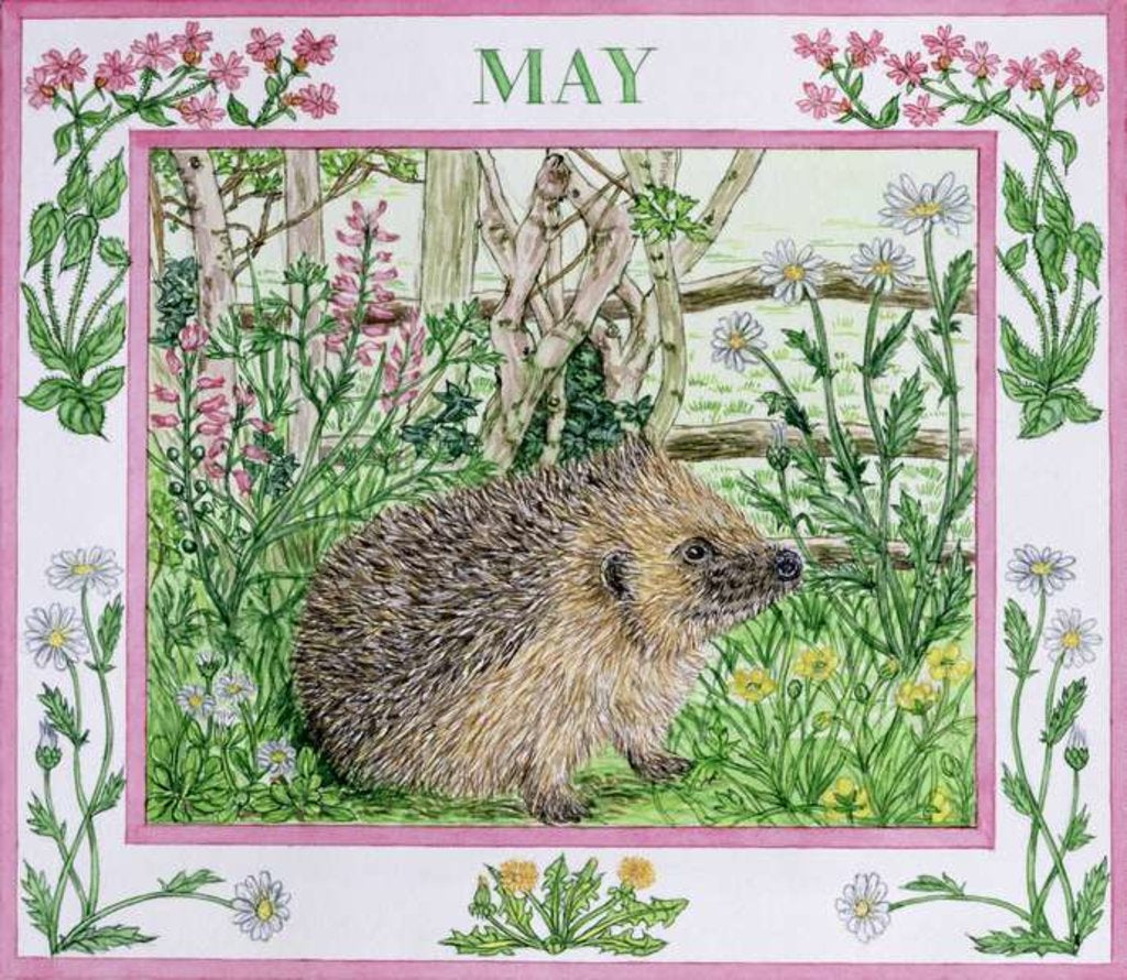 Detail of May by Catherine Bradbury