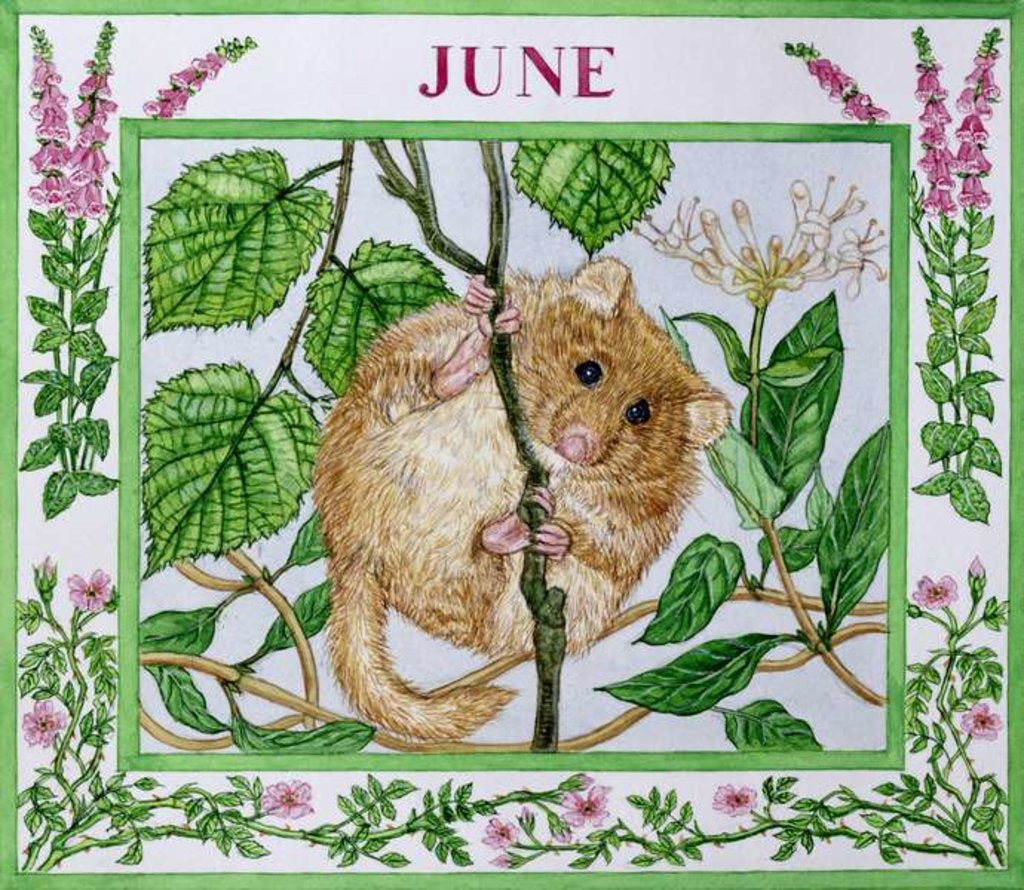 Detail of June by Catherine Bradbury
