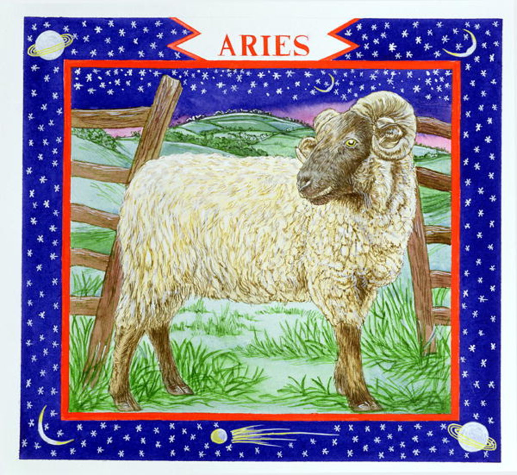 Detail of Aries by Catherine Bradbury