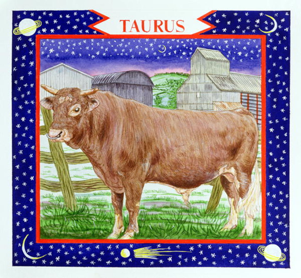 Detail of Taurus by Catherine Bradbury