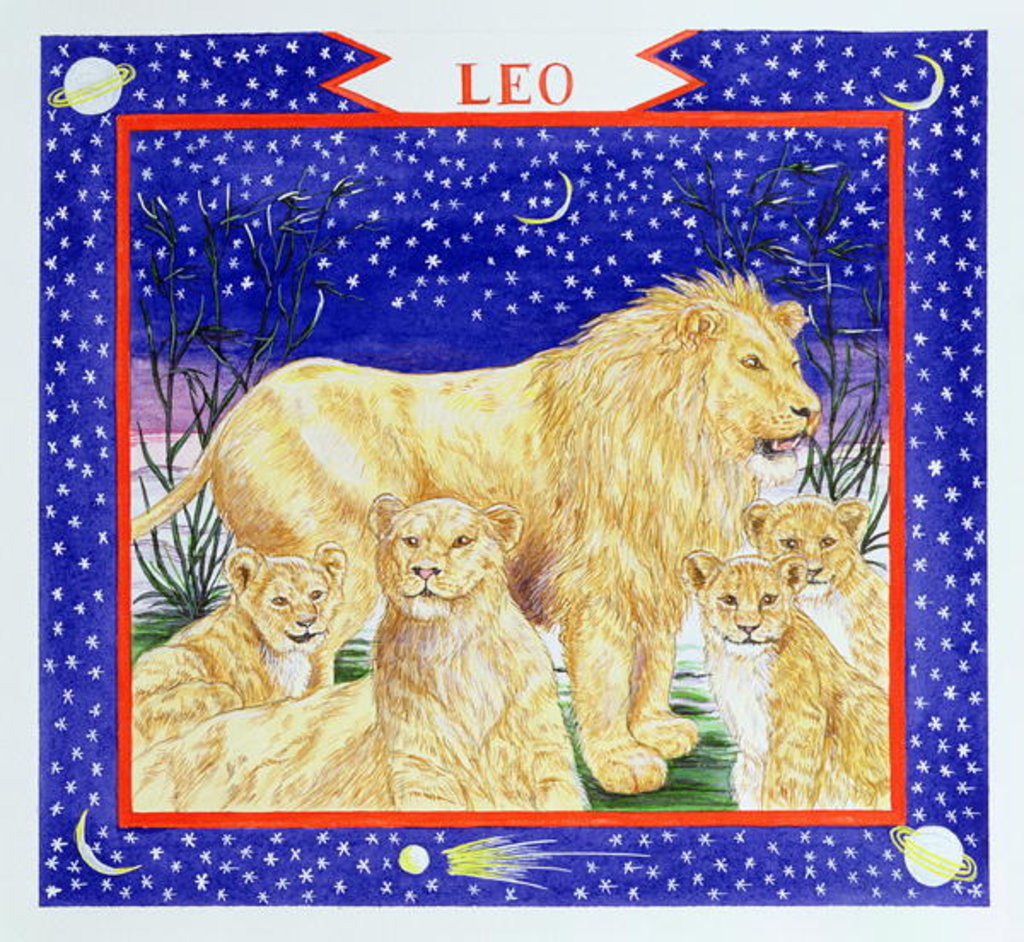 Detail of Leo by Catherine Bradbury
