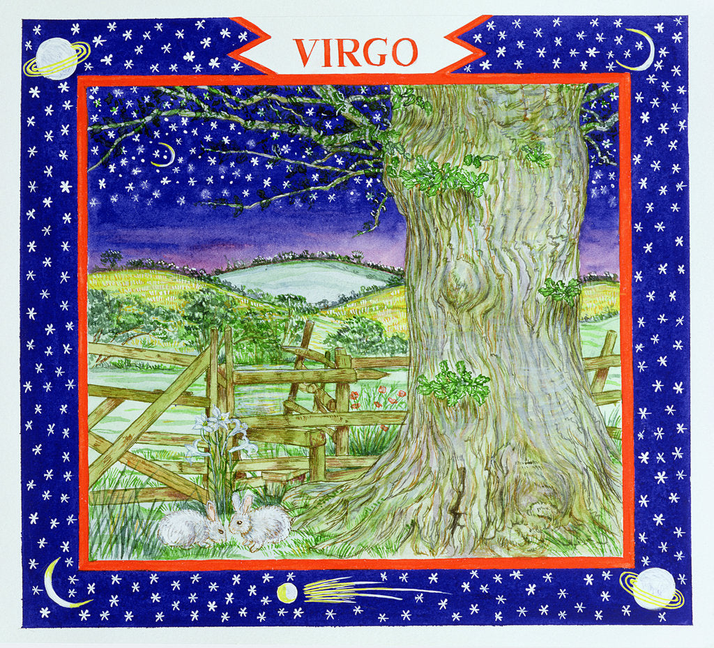 Detail of Virgo by Catherine Bradbury