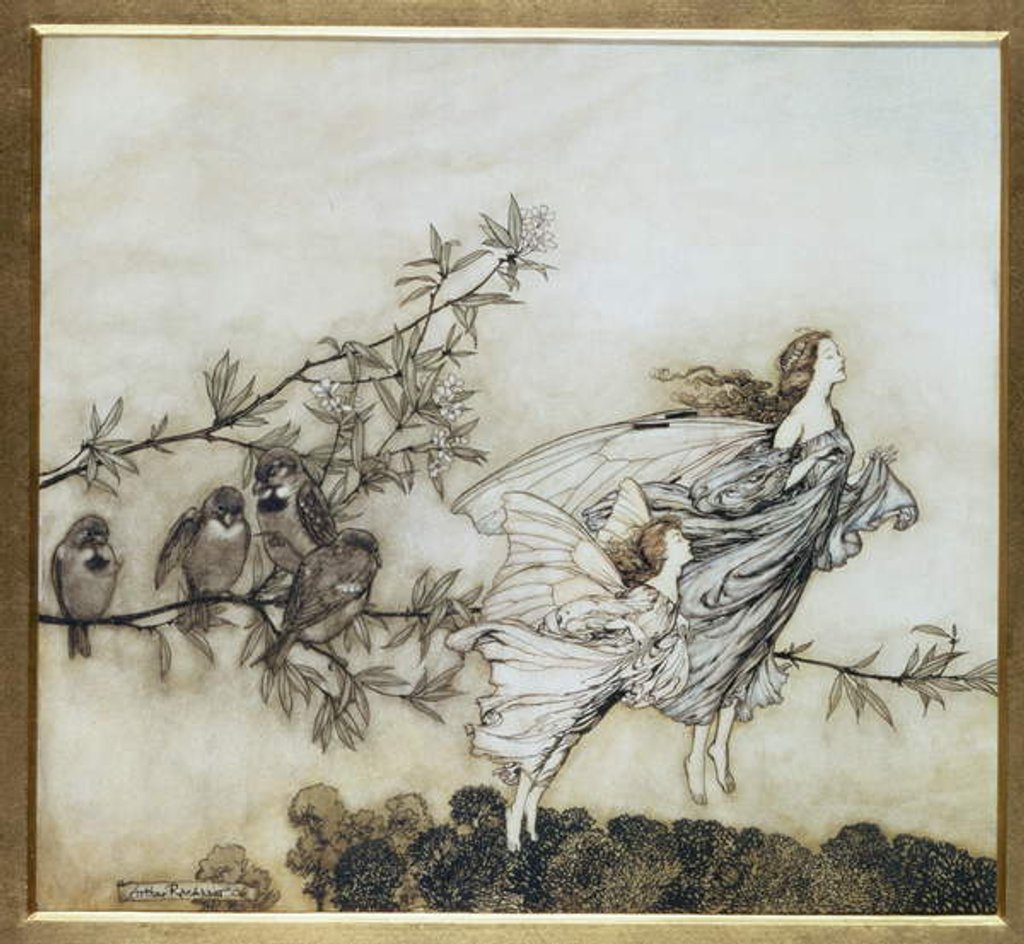 Detail of The Fairies have their Tiff with the Birds, 1906 by Arthur Rackham