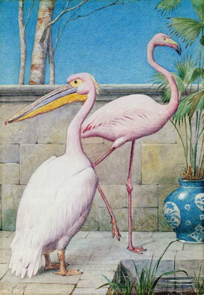 Detail of Pelican and Flamingo by Henry Stacy Marks