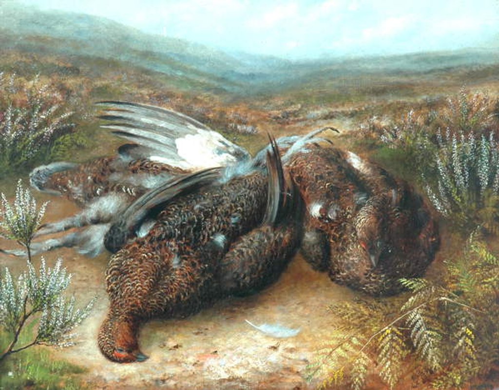 Detail of Dead Grouse in Landscape by Unknown Artist