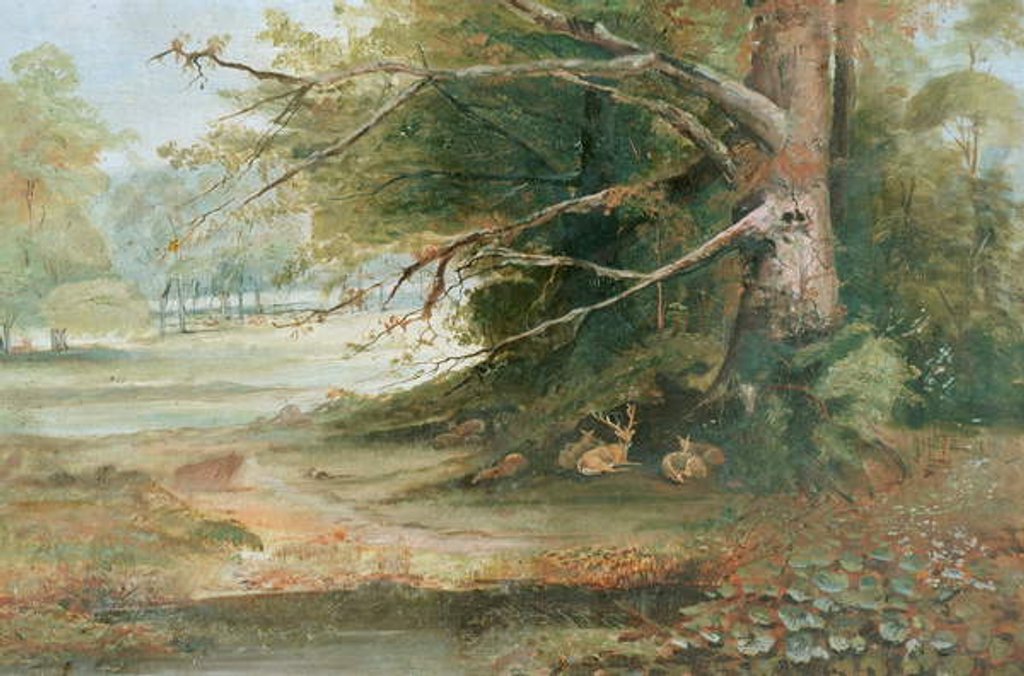 Detail of Deer in a Woodland Glade by Unknown Artist