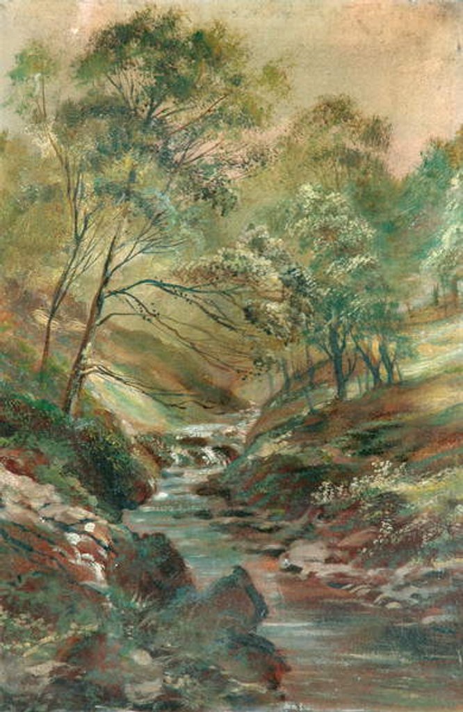 Detail of Stream through a Wood by Unknown Artist