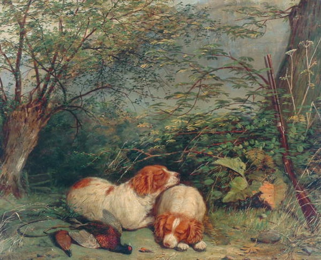 Detail of Dogs and Pheasant, 1840 by Richard Ansdell