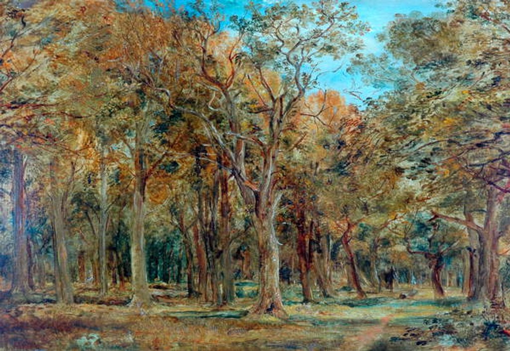 Detail of Sherwood Forest by Richard Sebastian Bond