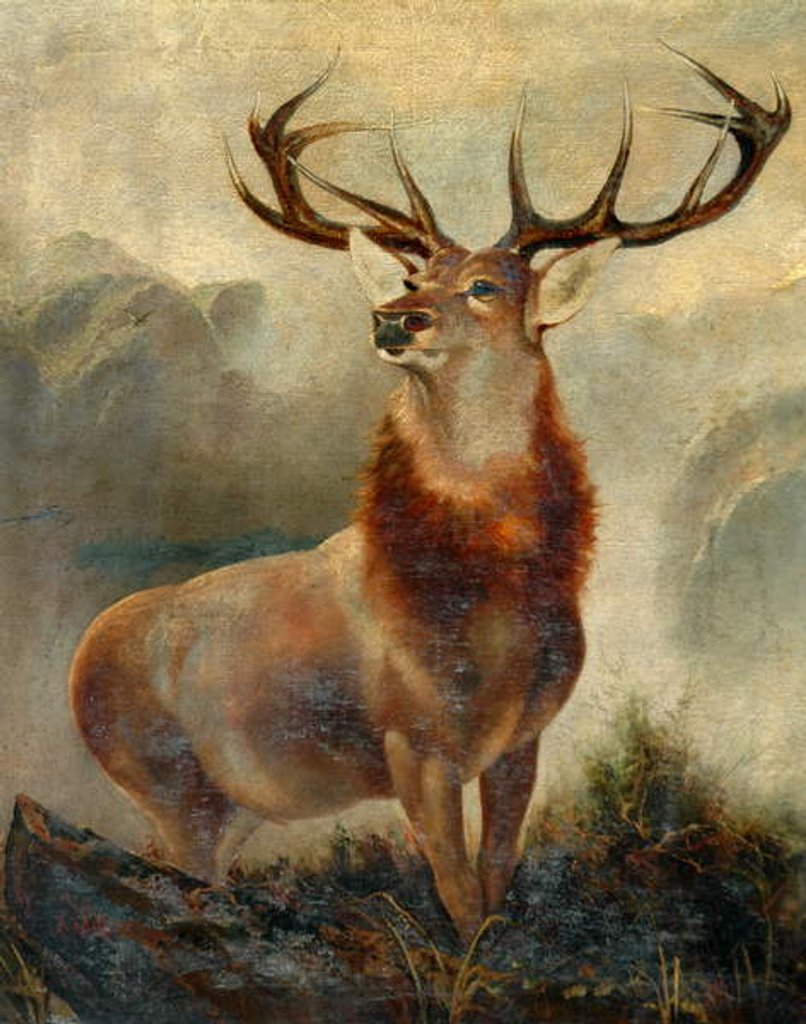 Detail of Stag At Bay by James Ford