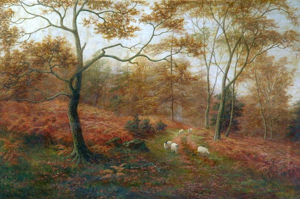 Detail of Bolton Woods, Yorkshire by William Mellor
