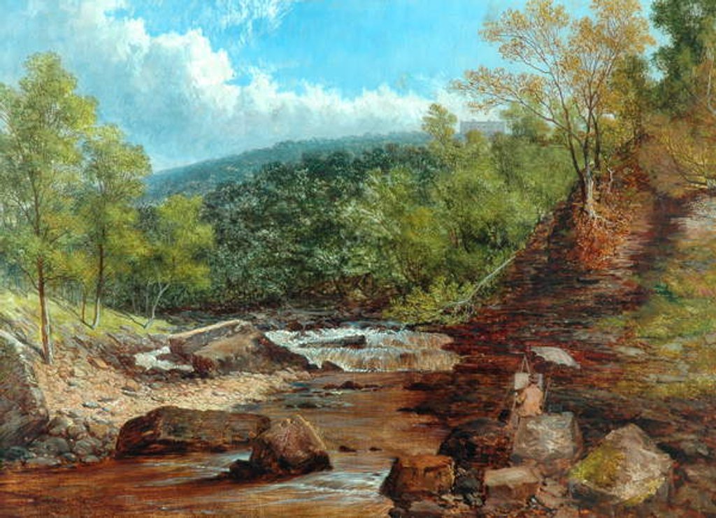 Detail of Posforth Ghyll, Bolton Woods by William Mellor