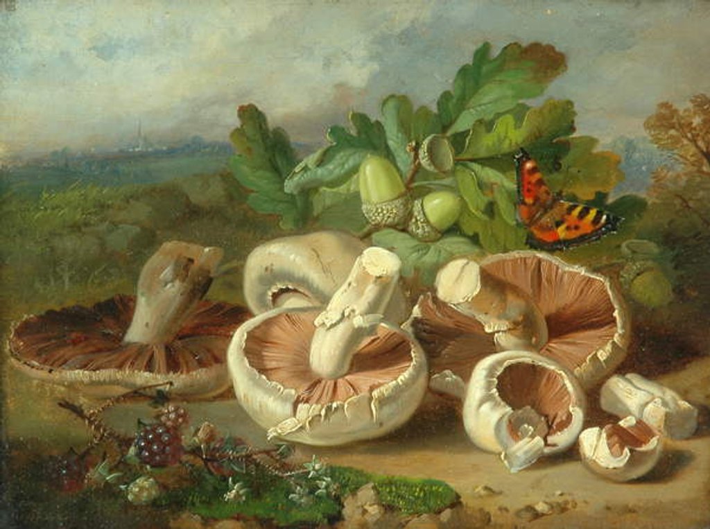Detail of Still Life With Mushrooms Etc., 1859 by Unknown Artist